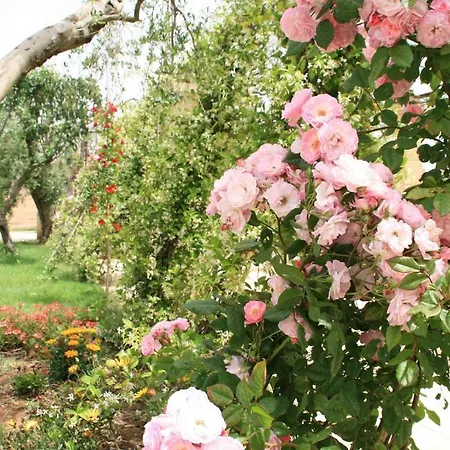 L'ecce Sphero Bed and Breakfast 4*