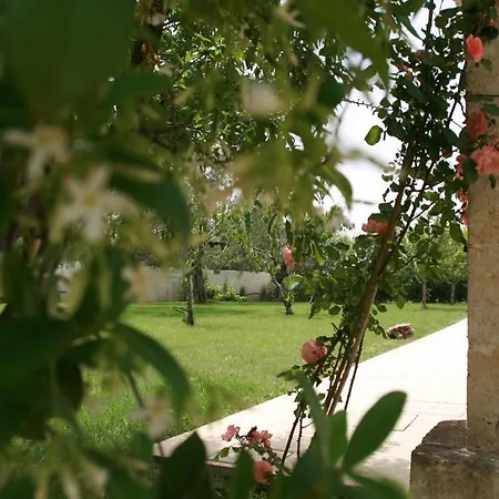 L'ecce Sphero 4* Acquarica